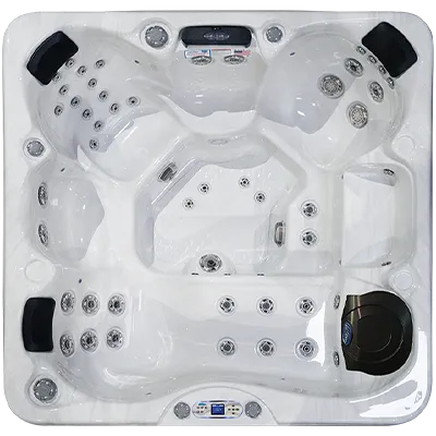 Avalon EC-849L hot tubs for sale in Mount Pleasant