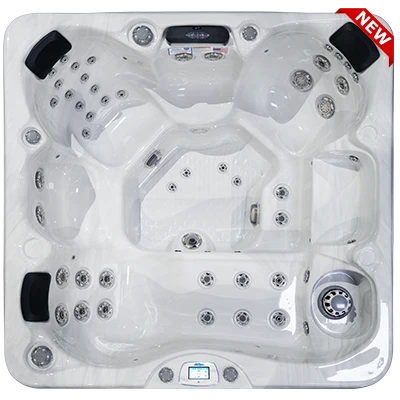 Avalon-X EC-849LX hot tubs for sale in Mount Pleasant