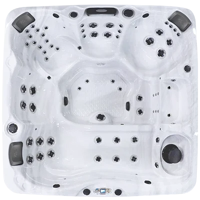 Avalon EC-867L hot tubs for sale in Mount Pleasant