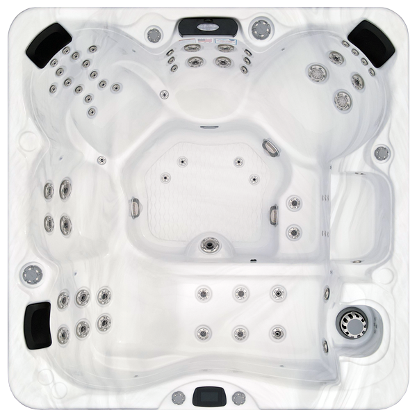 Avalon-X EC-867LX hot tubs for sale in Mount Pleasant